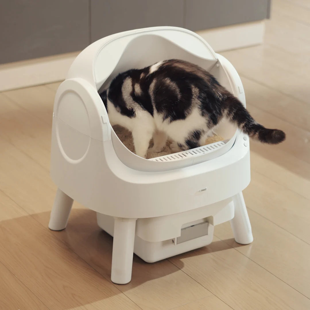 Autoscooper 11 Open-Top Self-Cleaning Smart Cat Litter Box-