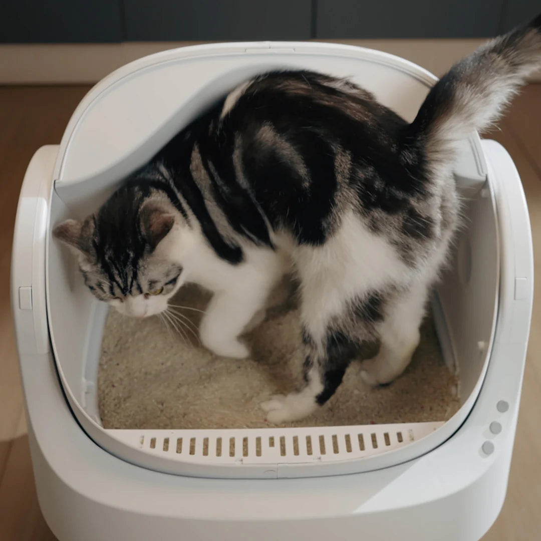 Autoscooper 11 Open-Top Self-Cleaning Smart Cat Litter Box-
