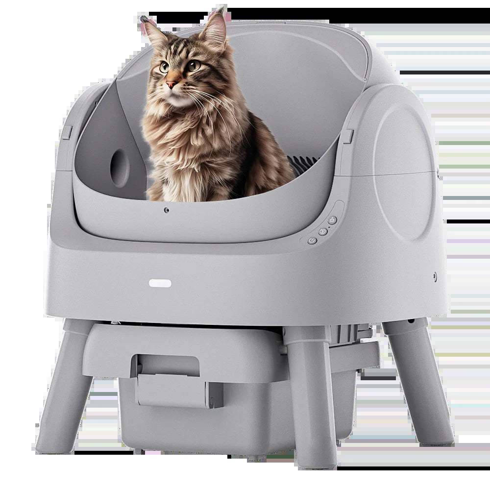 Autoscooper 11 Open-Top Self-Cleaning Smart Cat Litter Box-