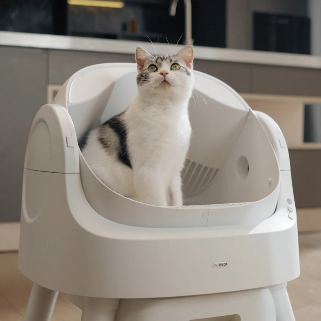 Autoscooper 11 Open-Top Self-Cleaning Smart Cat Litter Box-