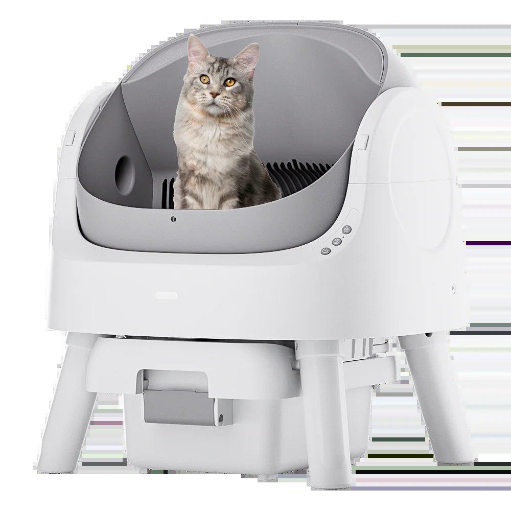 Autoscooper 11 Open-Top Self-Cleaning Smart Cat Litter Box-