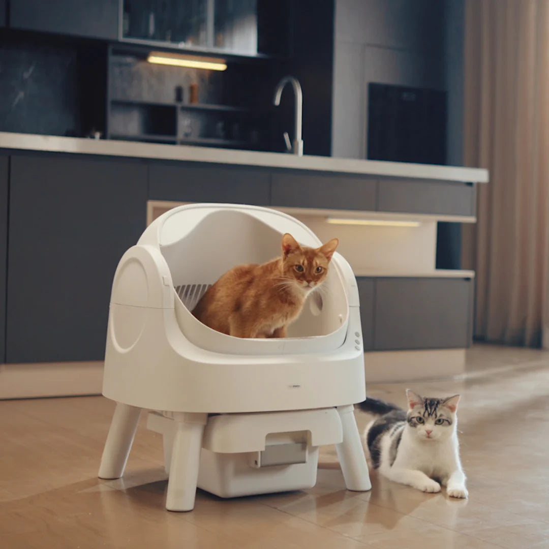 Autoscooper 11 Open-Top Self-Cleaning Smart Cat Litter Box-